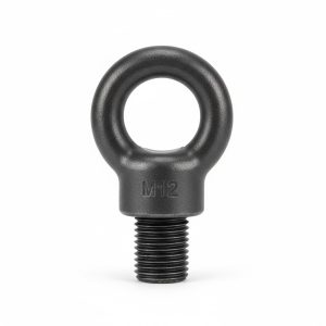 Anneau de levage m12